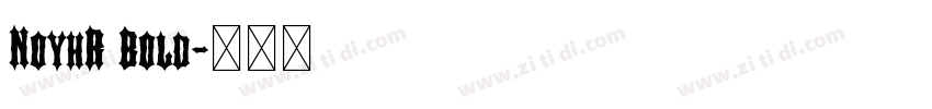 NoyhR Bold字体转换
